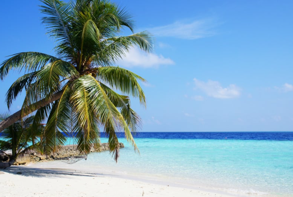 paradies